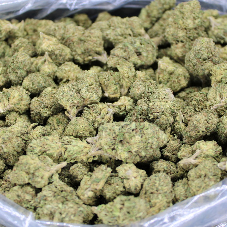 Cheap THCA Flower Pound