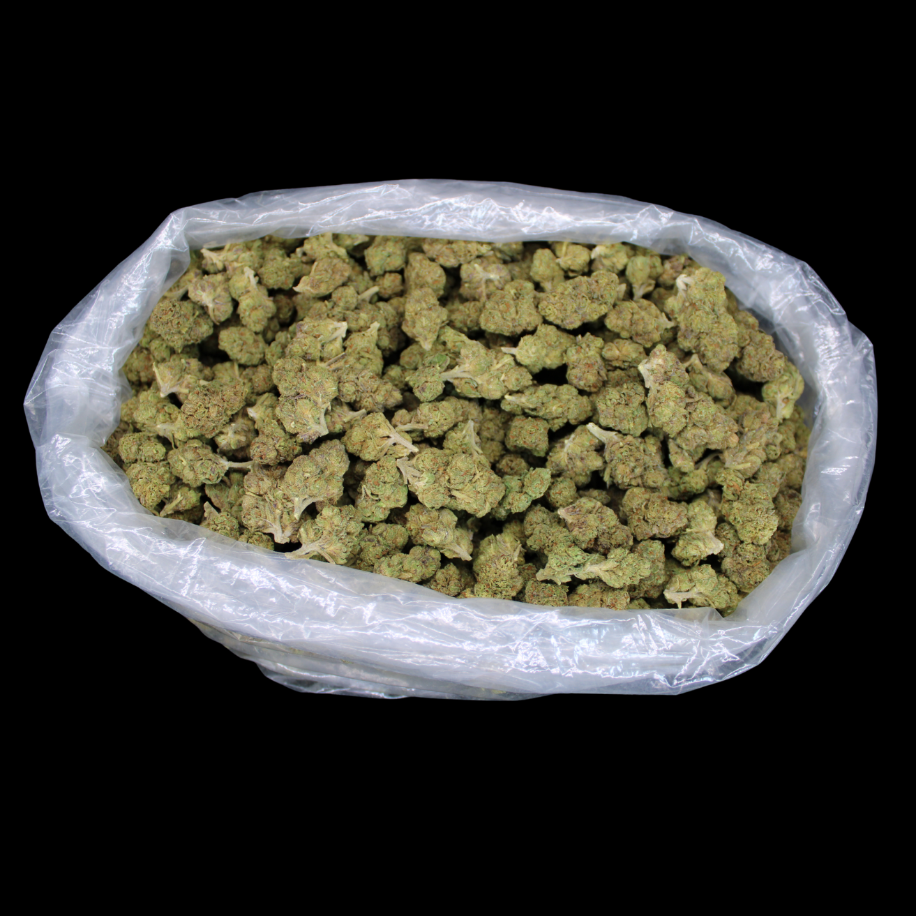 Gary Poppins THCA Flower