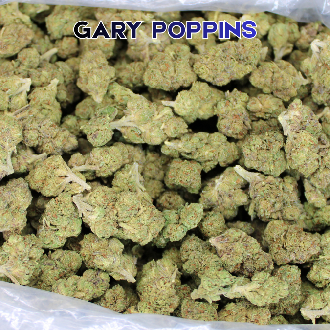 Gary Poppins THCA Flower