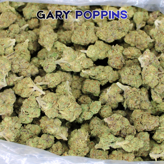 Gary Poppins THCA Flower