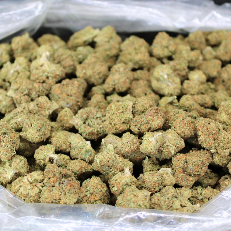 Cheap THCA Flower Pound