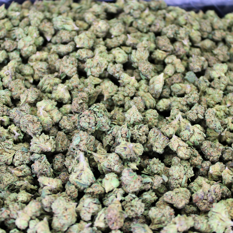 Gelato THCA Flower