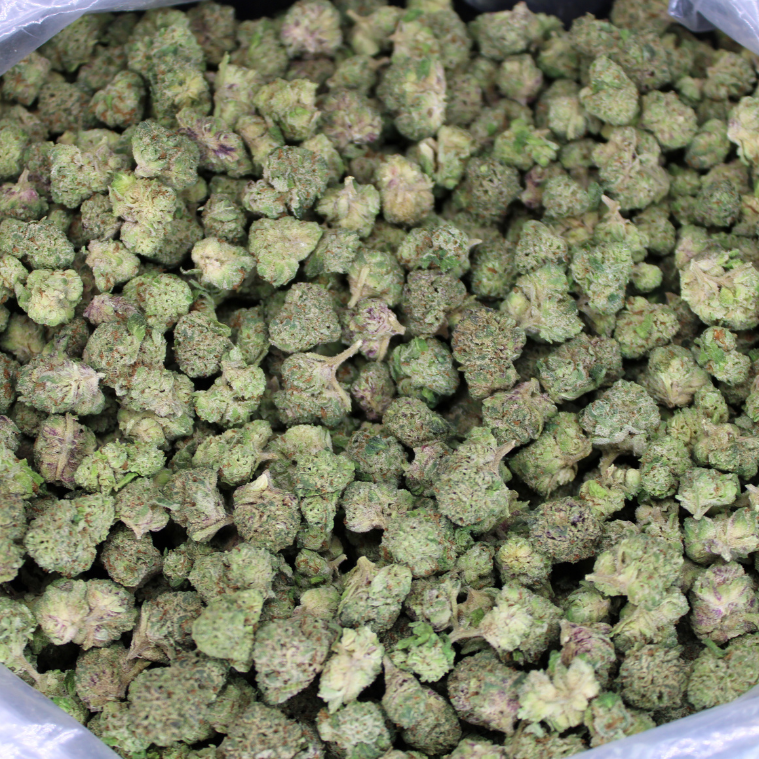 Bulk Indoor THCA Smalls