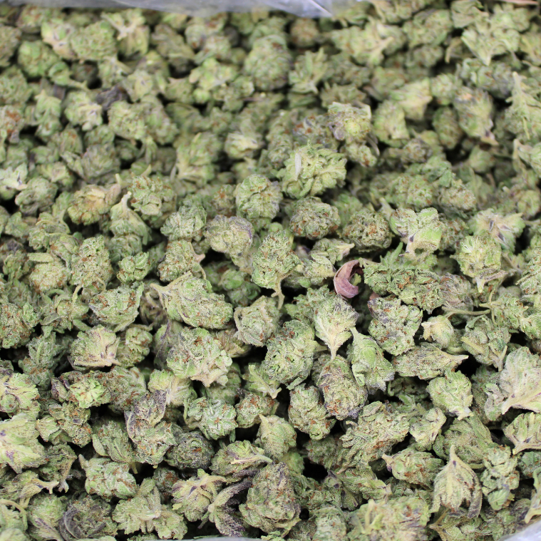 Cheap THCA Smalls Quarter Pound