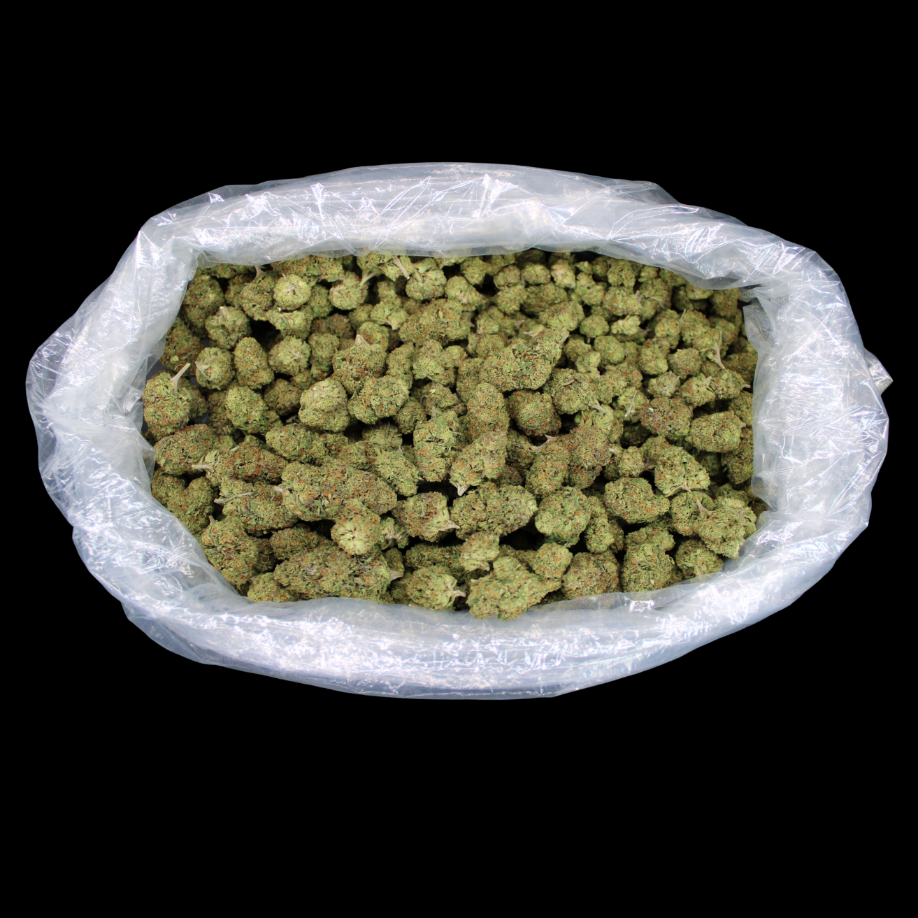 Gorilla Glue THCA Flower