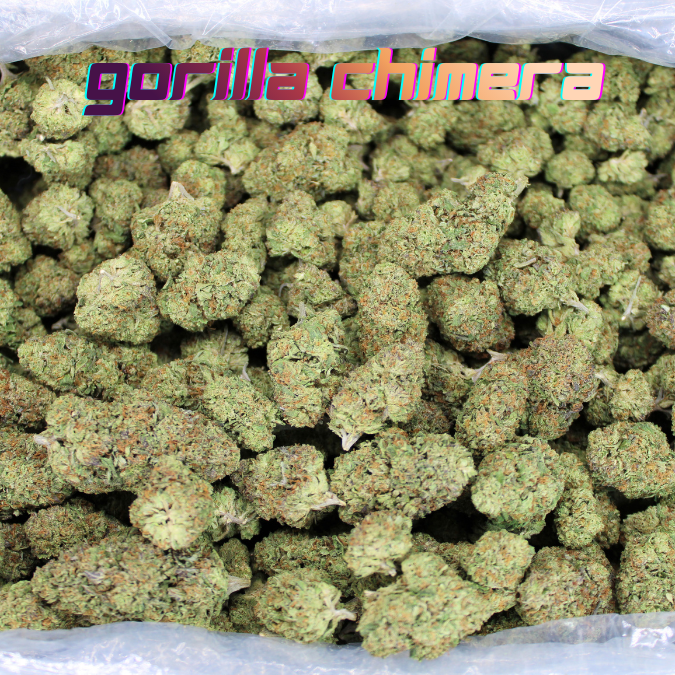 Gorilla Glue THCA Flower