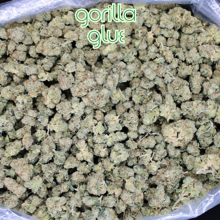 Bulk Indoor THCA Smalls