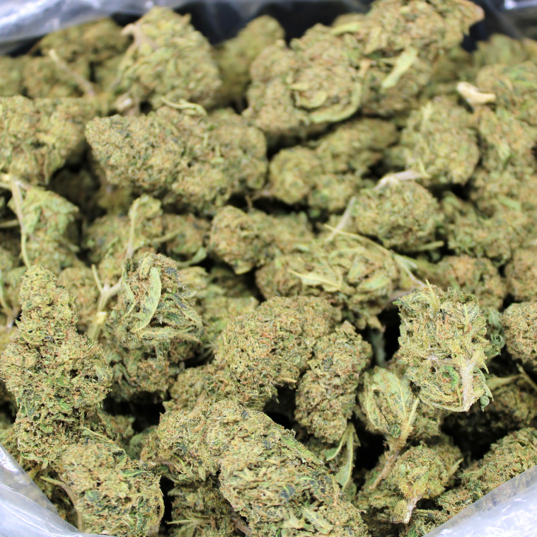Cheap THCA Flower Pound