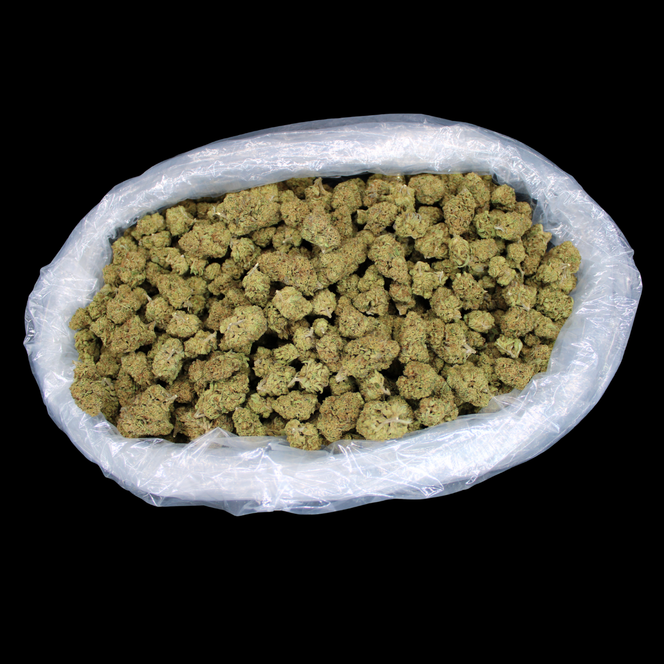 Gorilla Glue THCA Flower