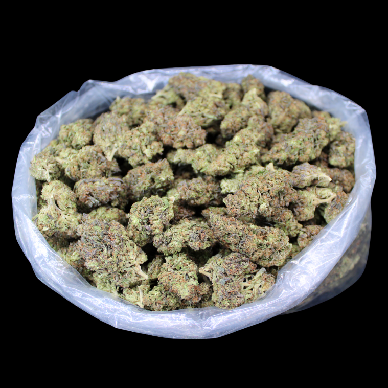 Gorilla Glue THCA Flower