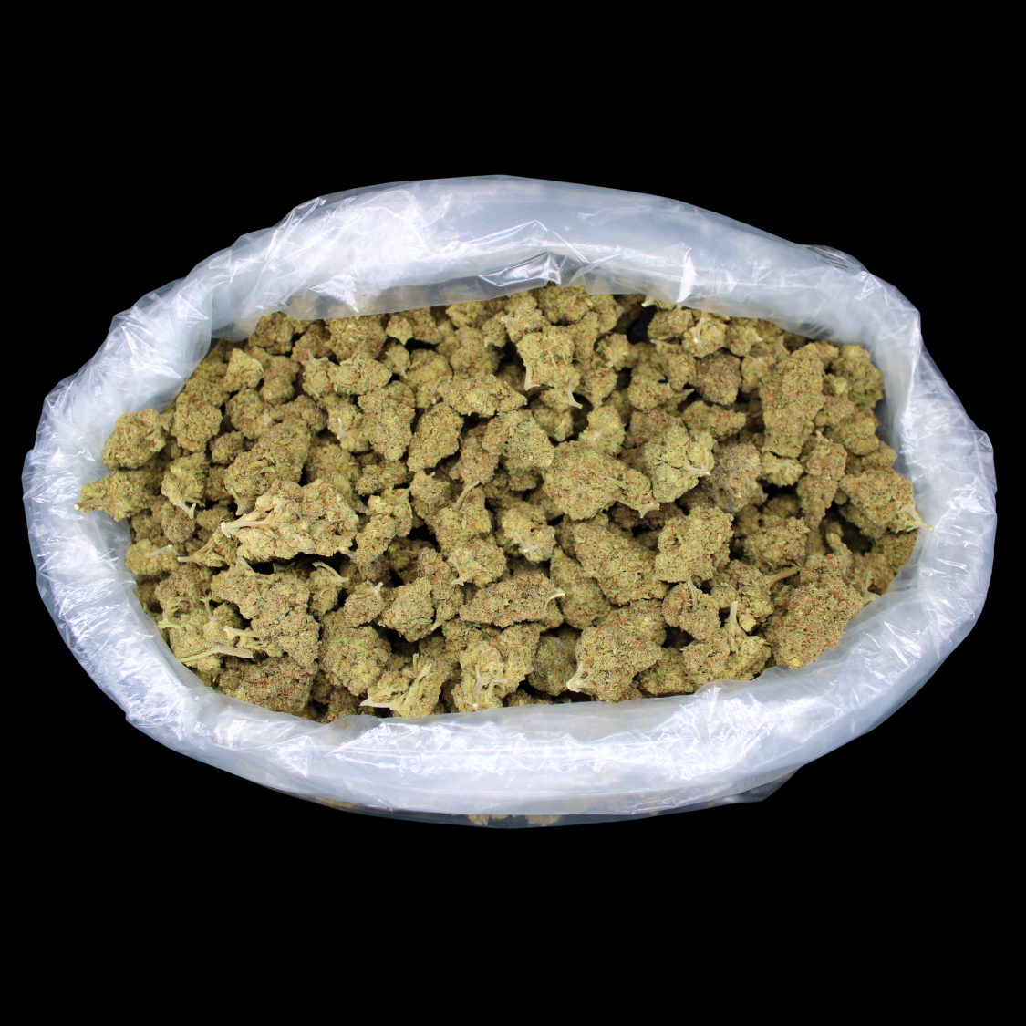 Cheap THCA Flower Quarter Pound