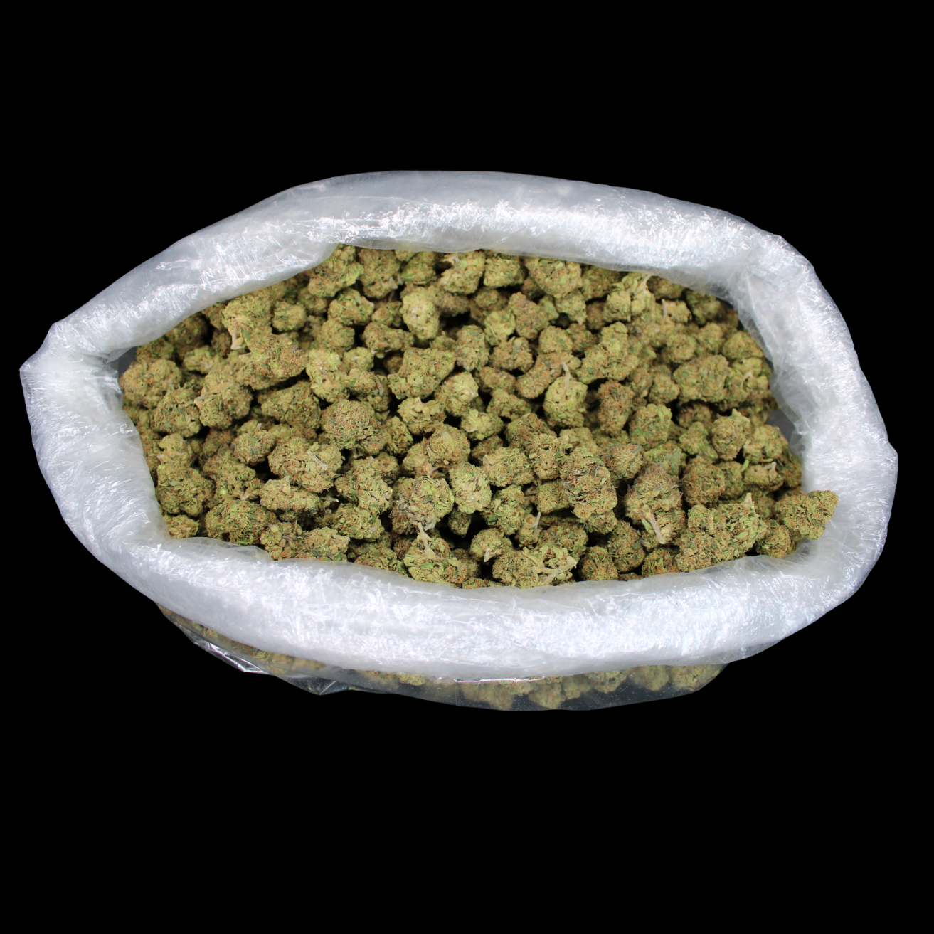 Gorilla Glue THCA Flower