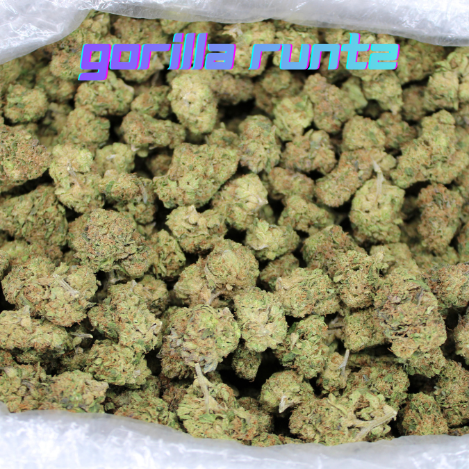 Gorilla Glue THCA Flower