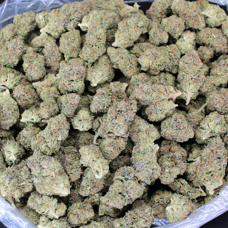 Gotti OG THCA Don Flower