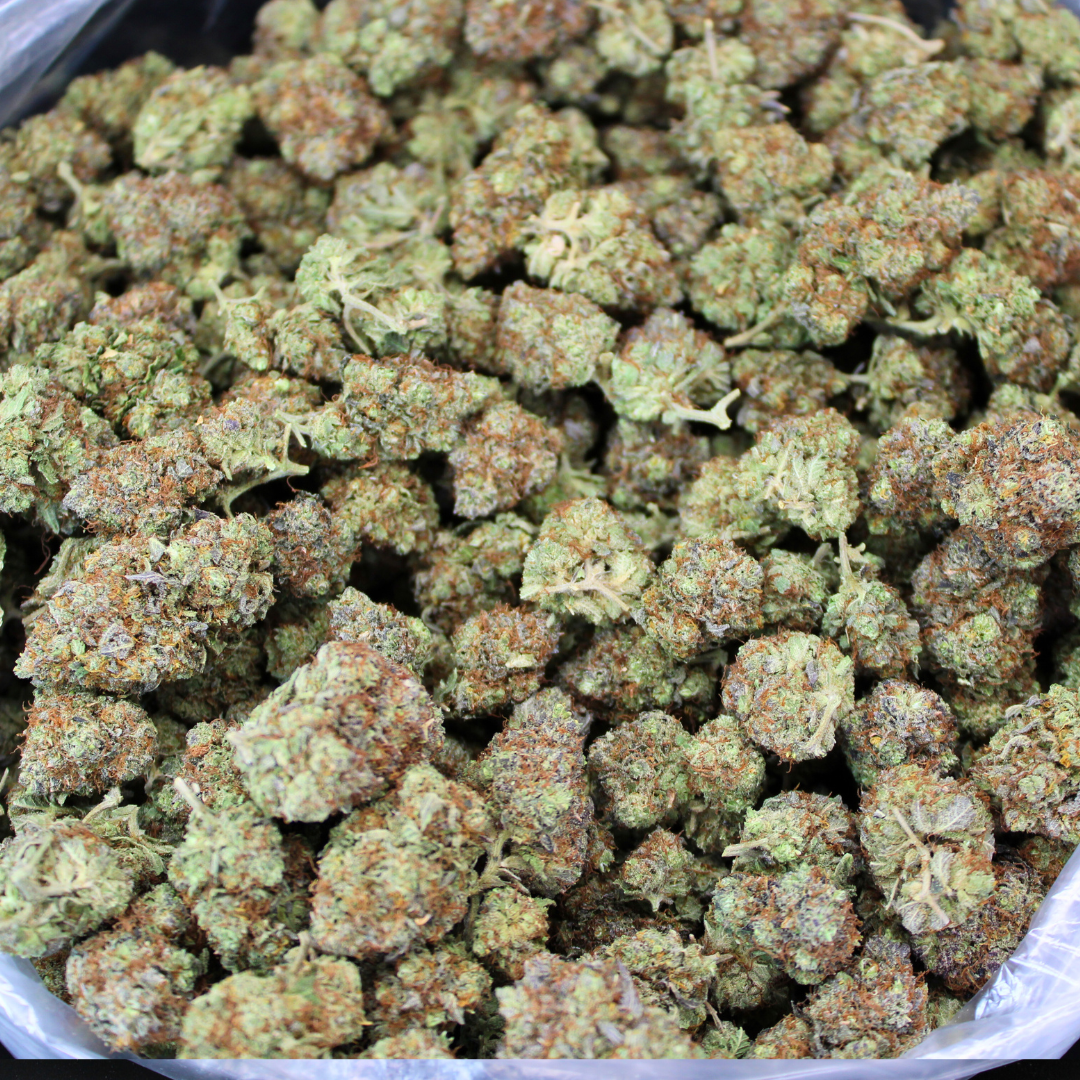 Ghost Train Haze THCA Flower
