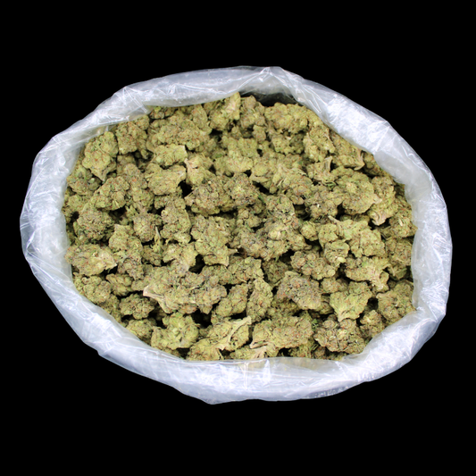 Gumbo THCA Flower