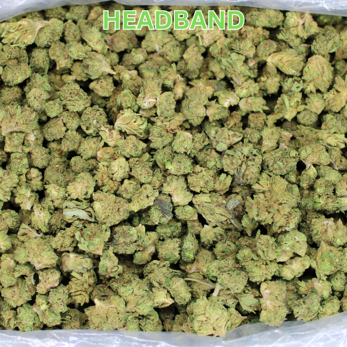 Cheap THCA Smalls Quarter Pound