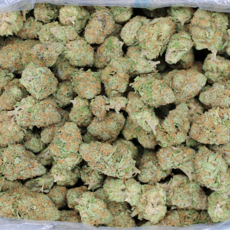 Illemonati Indoor THCA Flower