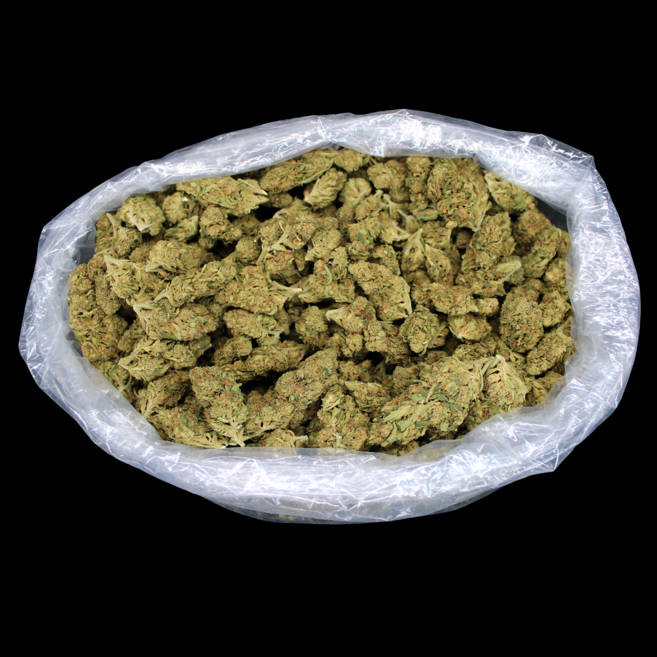 Cheap THCA Flower Pound