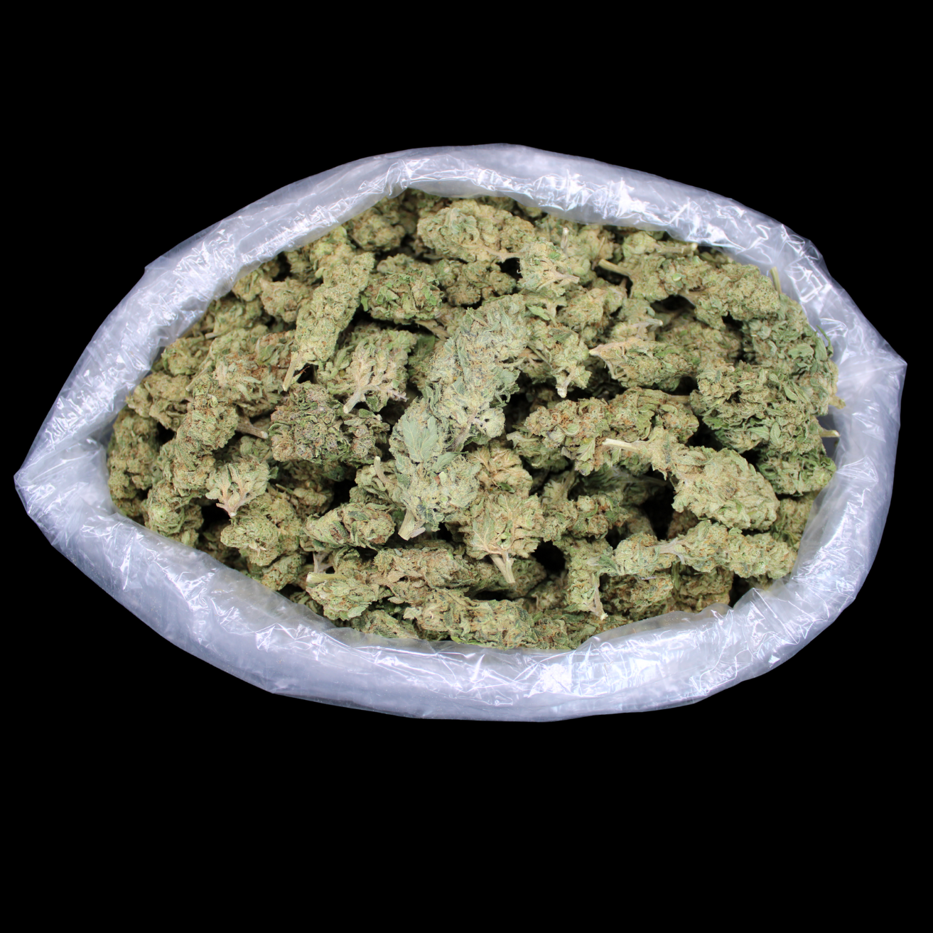 Bulk THCA Flower Pounds