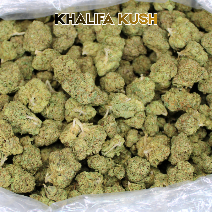 Khalifa Kush THCA Flower