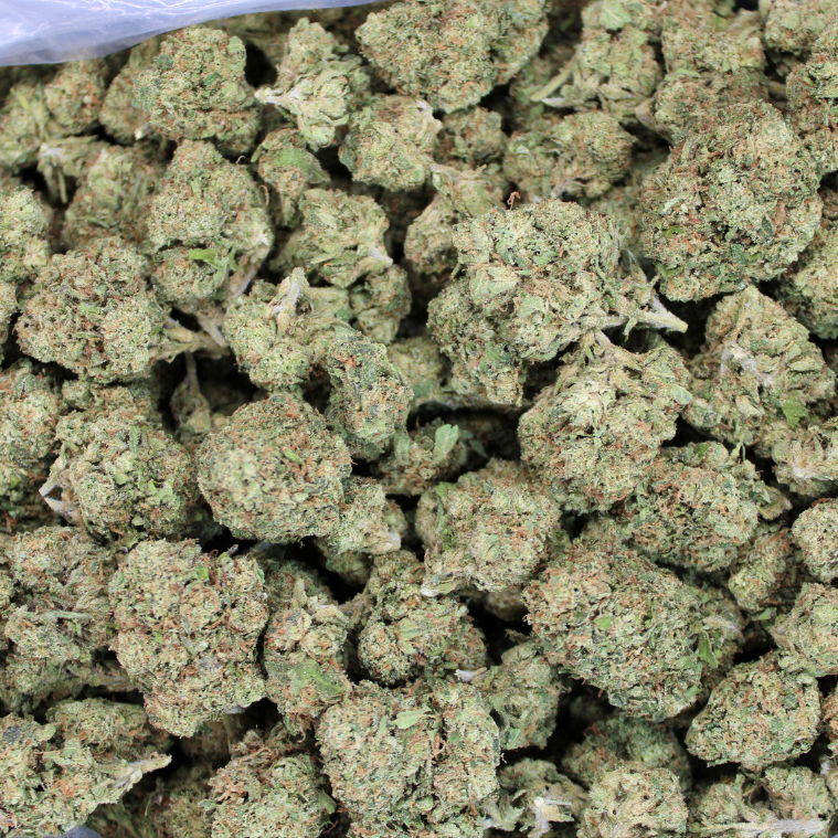 Lemon Cherry Gelato THCA Flower