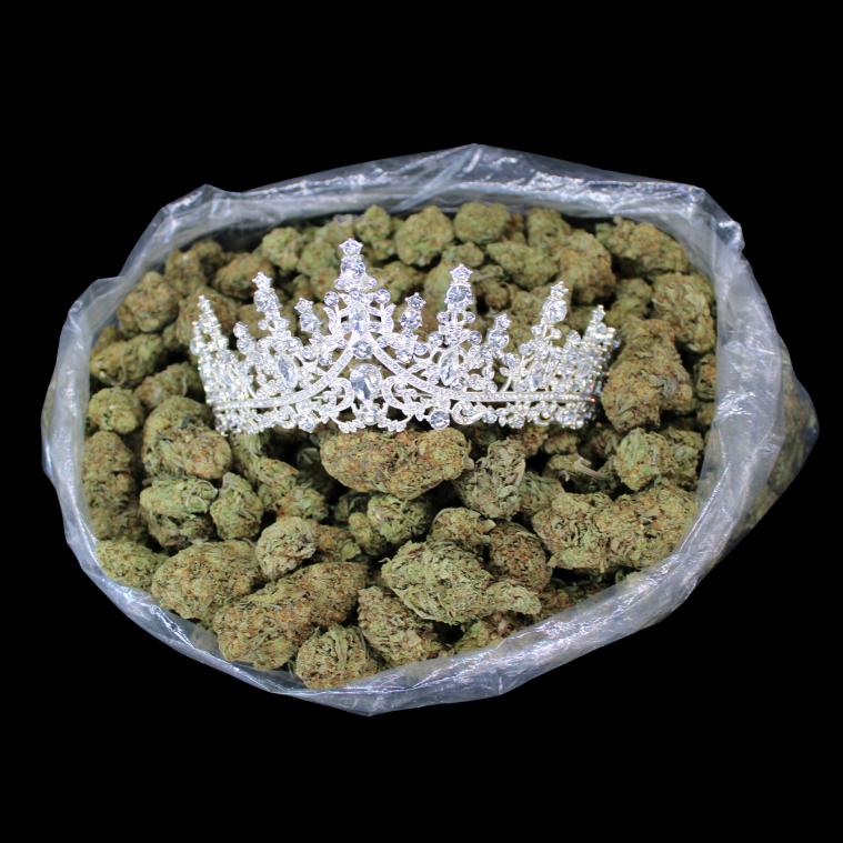 THCA Queen