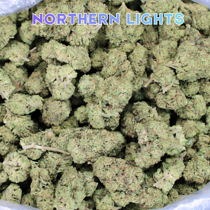 Northern Lights THCA Flower