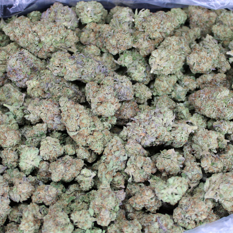 NYC Diesel THCA Flower