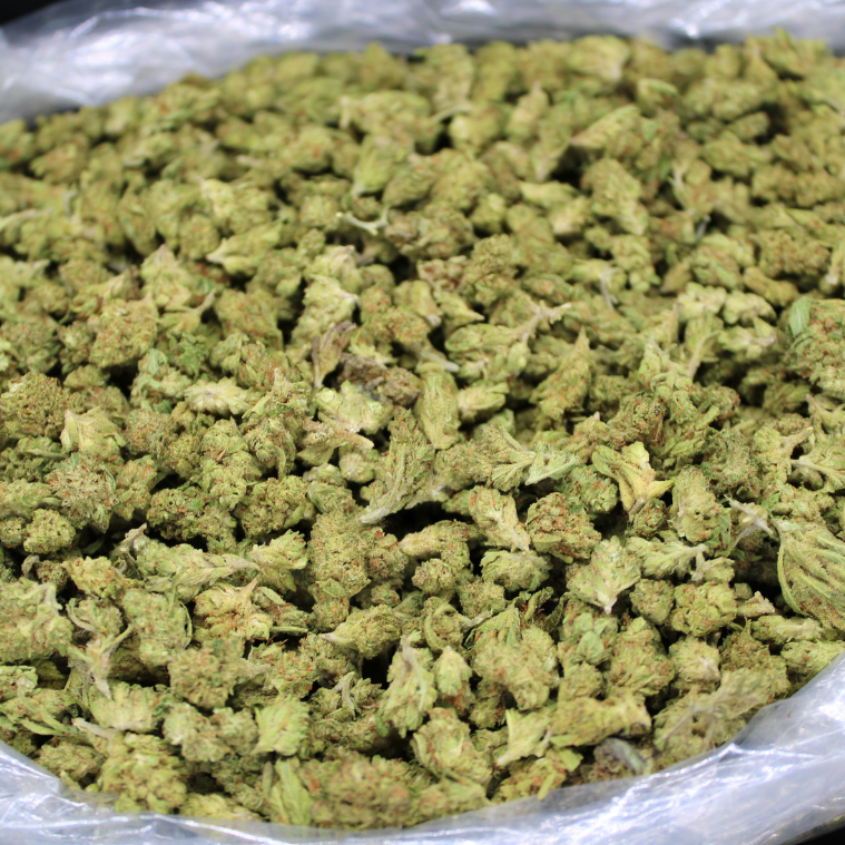 Cheap THCA Smalls Quarter Pound