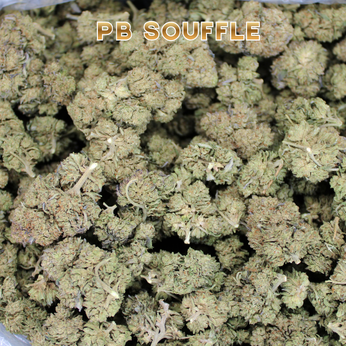 Peanut Butter Souffle THCA Flower