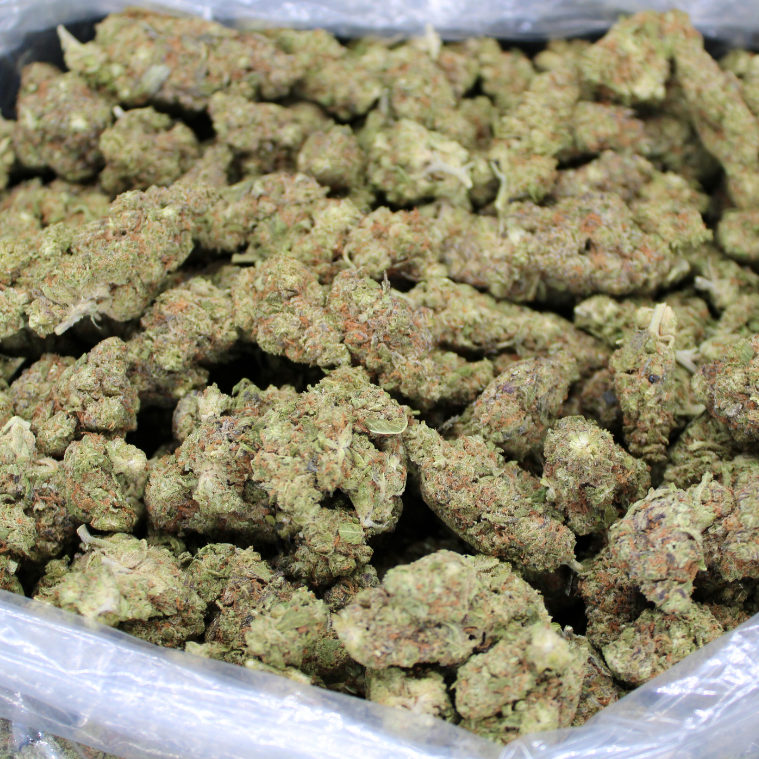 Cheap THCA Flower Pound