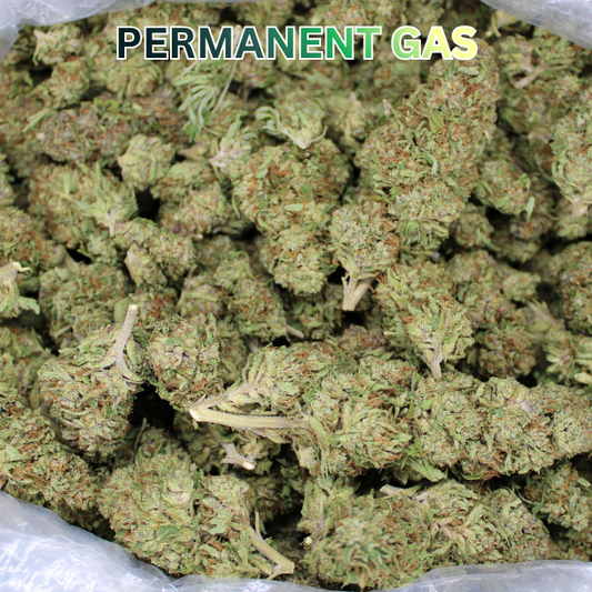 Permanent Gas THCA Flower