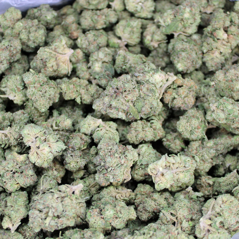 Pineapple Express THCA Flower