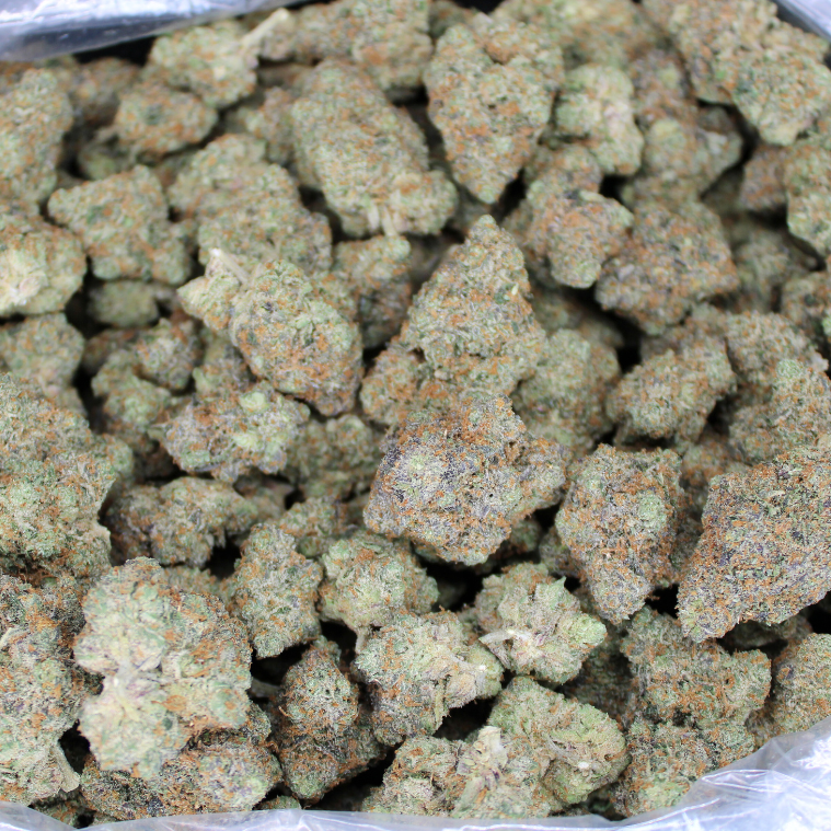 Pinkman Goo Exotic THCA Flower