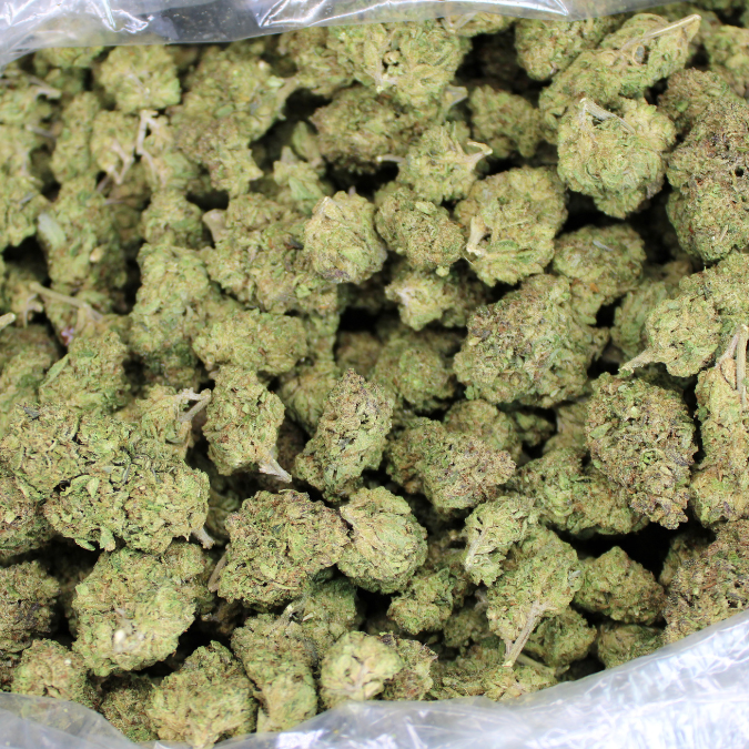 Pinyatti THCA Flower