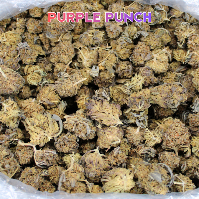 THCA Flower Budget Buds