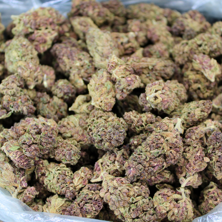 Cheap THCA Flower Pound