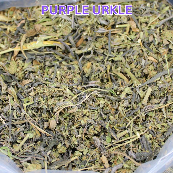 Purple Urkle THCA Trim