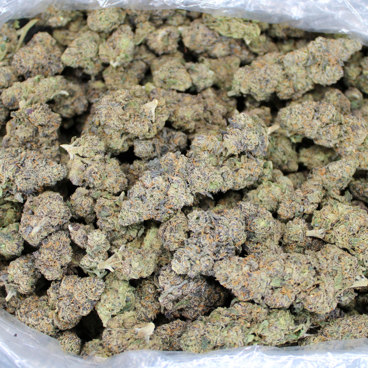 Purple Nebula THCA Flower