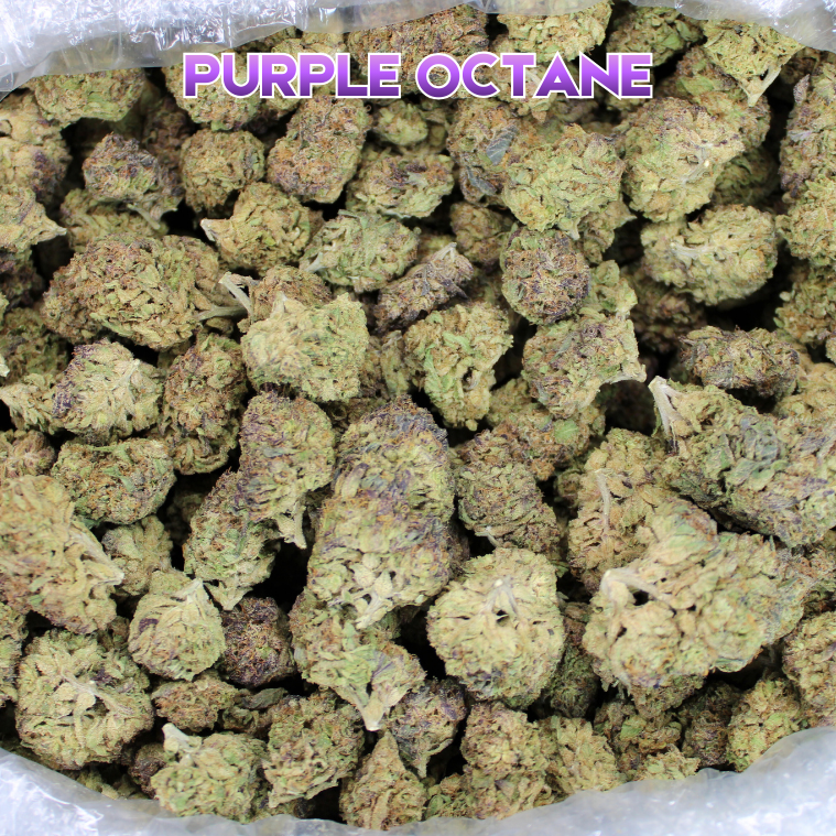 Purple Octane THCA Flower