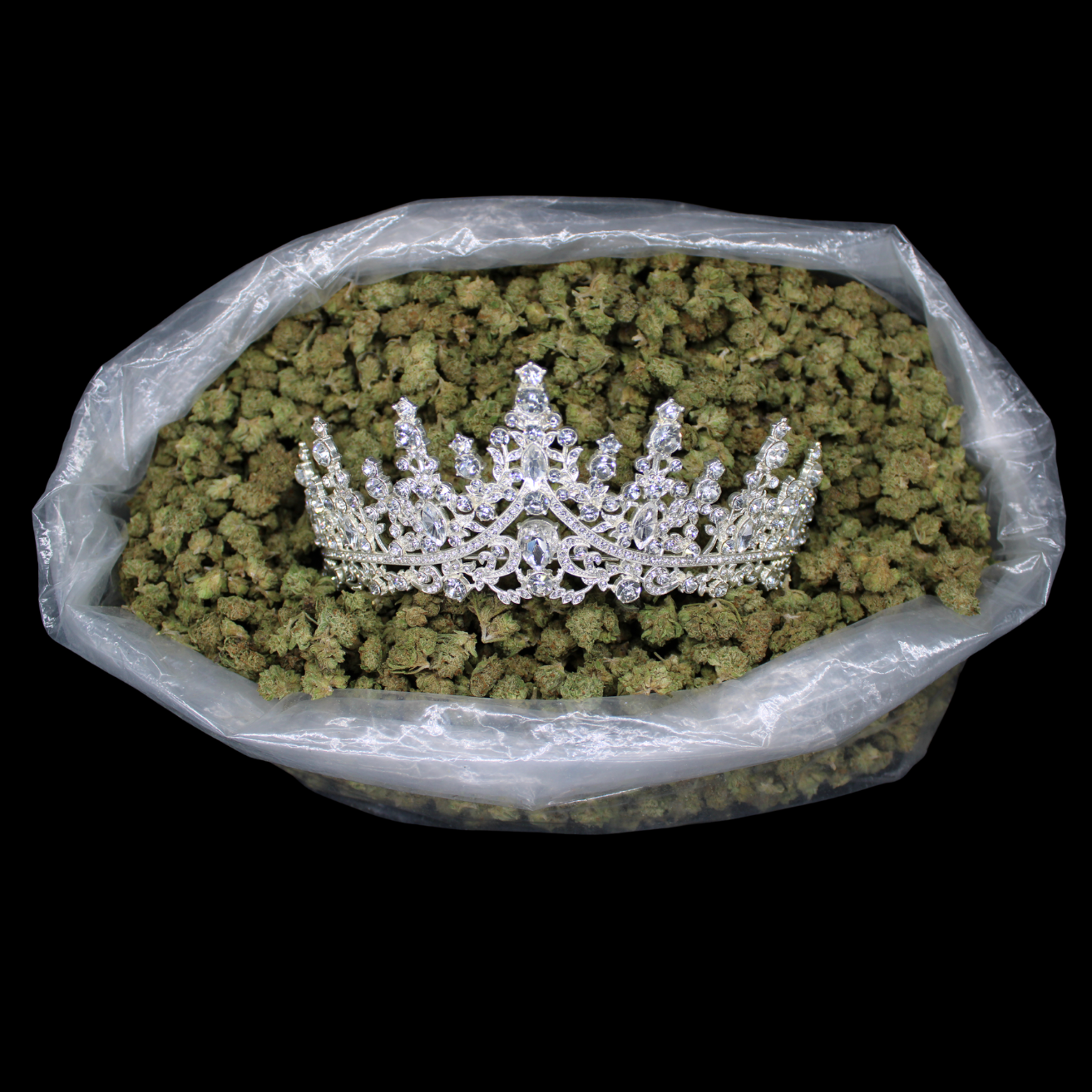THCA Queen