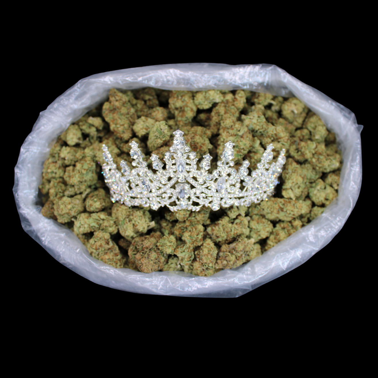 THCA Queen