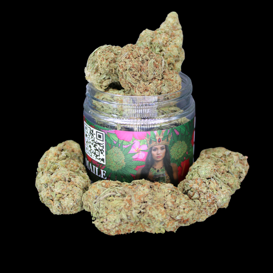 THCA Queen