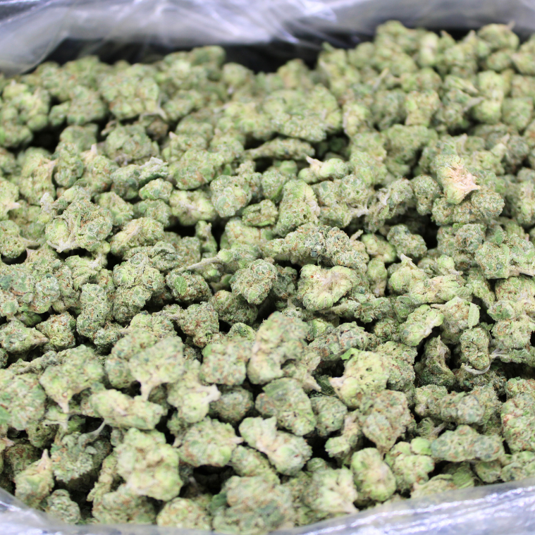 Bulk Indoor THCA Smalls