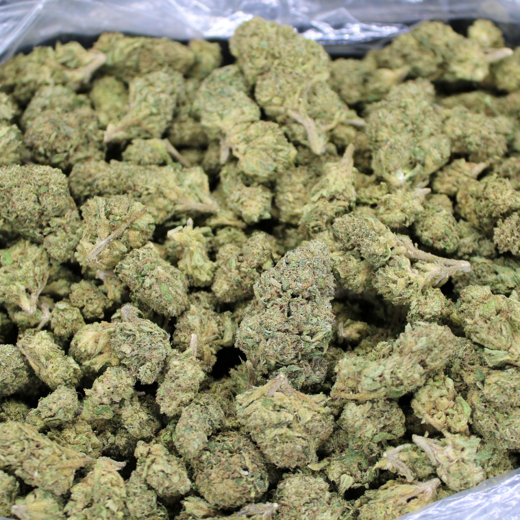 Cheap THCA Flower Pound