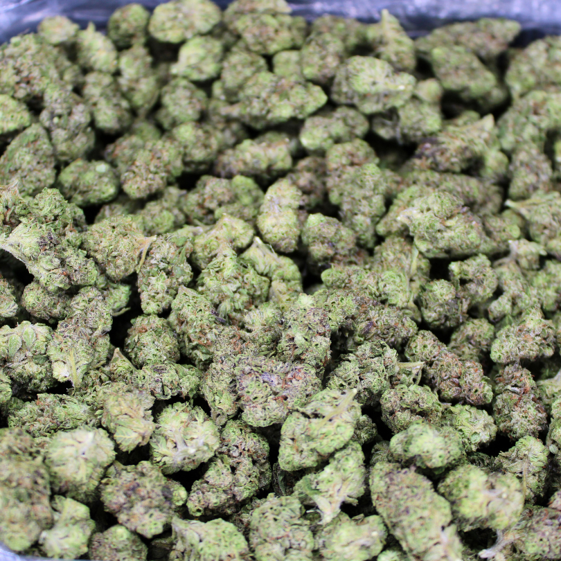 Runtz OG THCA Flower