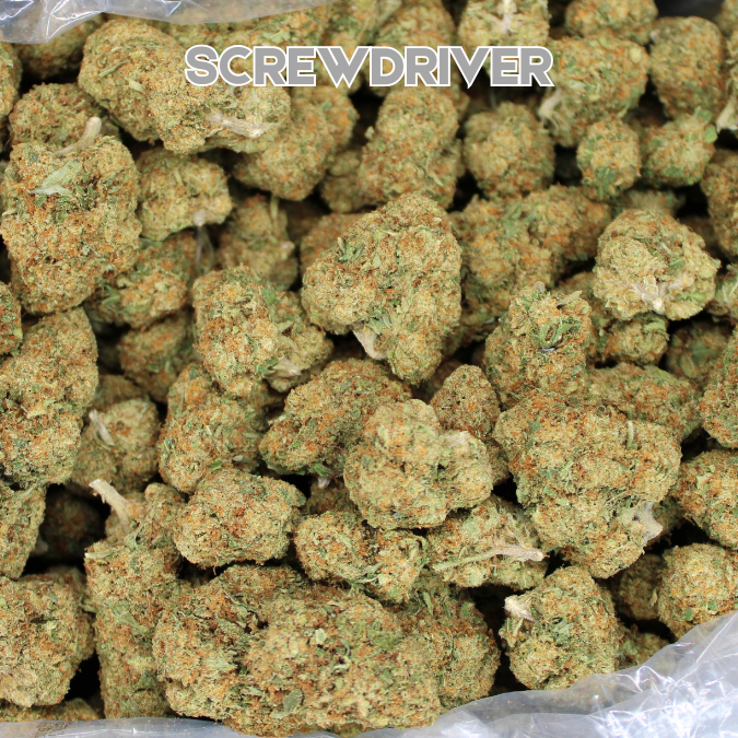 Screwdriver THCA Flower