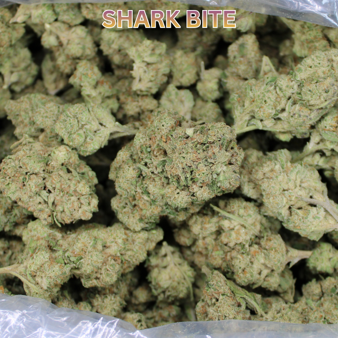 Cheap THCA Flower Quarter Pound