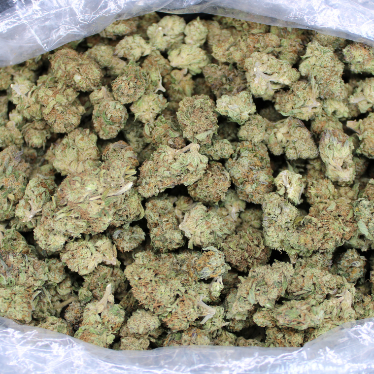 Sherblato THCA Flower